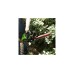 Аккумуляторный бесщеточный кусторез Greenworks GD80HT 2200607