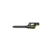 Аккумуляторный бесщеточный воздуходув Greenworks GD80BL 2400407