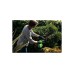 Аккумуляторный кусторез Greenworks G40HT61 40 В 2200907