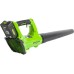Аккумуляторный воздуходув Greenworks G24AB 2402207
