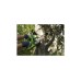 Цепная аккумуляторная пила GreenWorks G40CS30K6 20117UF